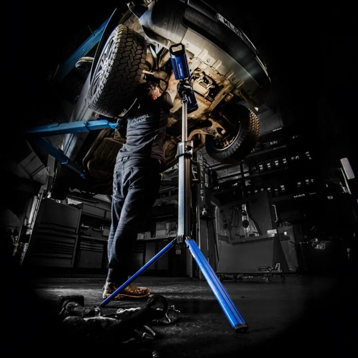 Untitled_design__6_.jpg